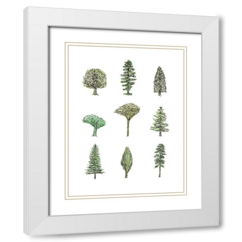 Collected Pines II White Modern Wood Framed Art Print with Double Matting by Wang, Melissa