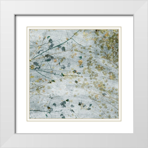 Seasonal Transition I White Modern Wood Framed Art Print with Double Matting by Chandler, Sharon