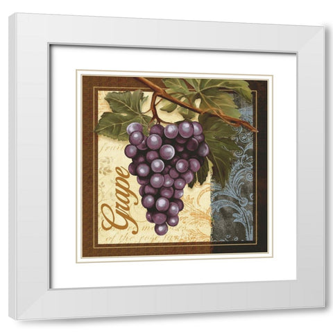 Fruit Illustration II White Modern Wood Framed Art Print with Double Matting by White, Abby