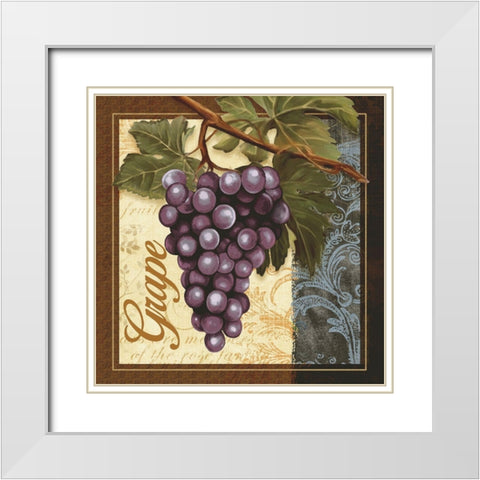 Fruit Illustration II White Modern Wood Framed Art Print with Double Matting by White, Abby