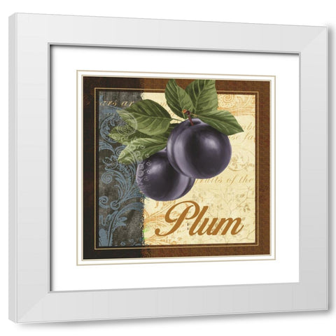 Fruit Illustration IV White Modern Wood Framed Art Print with Double Matting by White, Abby