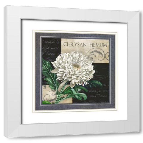 Flowers on BandW II White Modern Wood Framed Art Print with Double Matting by White, Abby