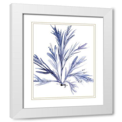 Living Under Sea IV White Modern Wood Framed Art Print with Double Matting by Wang, Melissa