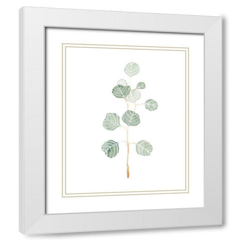 Soft Eucalyptus Branch II White Modern Wood Framed Art Print with Double Matting by Scarvey, Emma