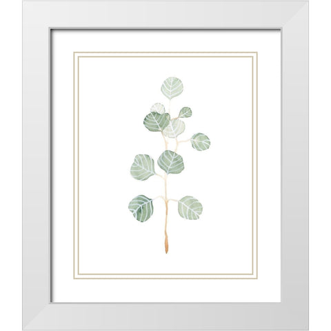 Soft Eucalyptus Branch II White Modern Wood Framed Art Print with Double Matting by Scarvey, Emma