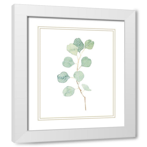 Soft Eucalyptus Branch IV White Modern Wood Framed Art Print with Double Matting by Scarvey, Emma