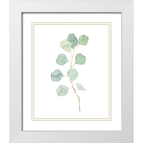 Soft Eucalyptus Branch IV White Modern Wood Framed Art Print with Double Matting by Scarvey, Emma