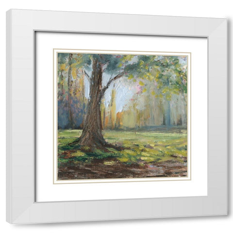 Path to the Tree I White Modern Wood Framed Art Print with Double Matting by Iafrate, Sandra