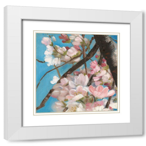 Cherry Blossoms II White Modern Wood Framed Art Print with Double Matting by Iafrate, Sandra