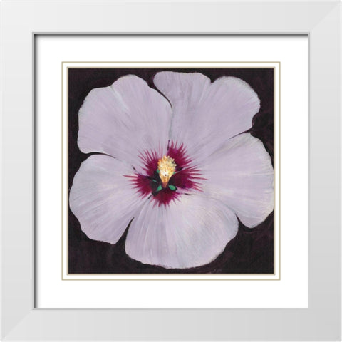 Hibiscus Portrait II White Modern Wood Framed Art Print with Double Matting by OToole, Tim