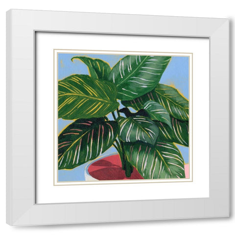 Calethea IV White Modern Wood Framed Art Print with Double Matting by Popp, Grace