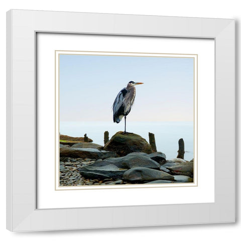 Beachscape Heron I White Modern Wood Framed Art Print with Double Matting by McLoughlin, James