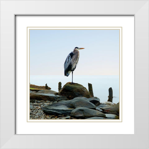 Beachscape Heron I White Modern Wood Framed Art Print with Double Matting by McLoughlin, James