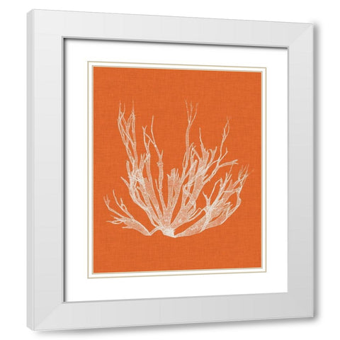 Seaweed Pop I White Modern Wood Framed Art Print with Double Matting by Vision Studio