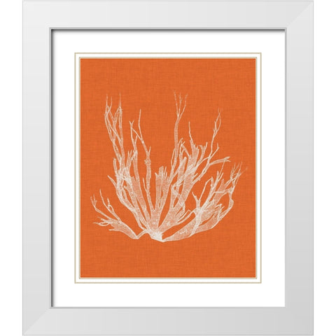 Seaweed Pop I White Modern Wood Framed Art Print with Double Matting by Vision Studio