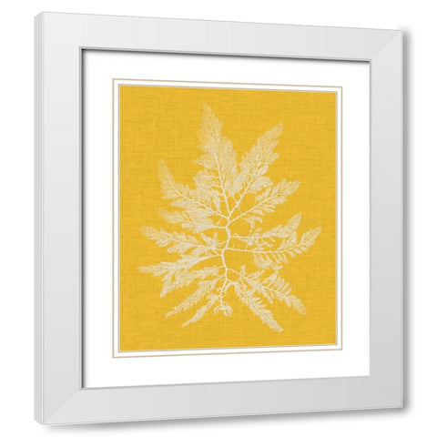 Seaweed Pop II White Modern Wood Framed Art Print with Double Matting by Vision Studio