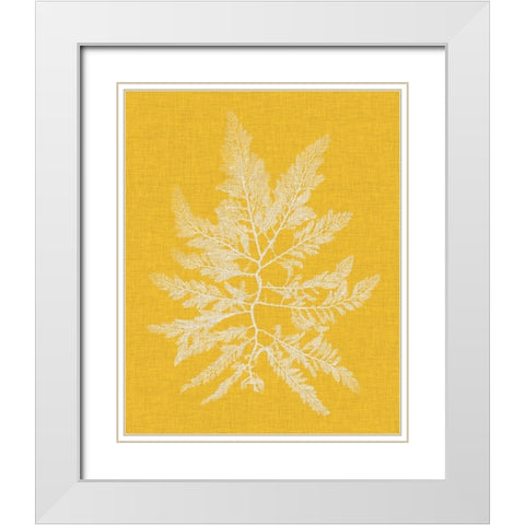 Seaweed Pop II White Modern Wood Framed Art Print with Double Matting by Vision Studio