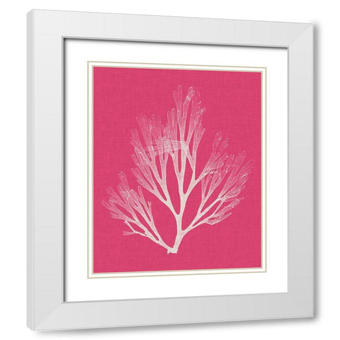 Seaweed Pop III White Modern Wood Framed Art Print with Double Matting by Vision Studio