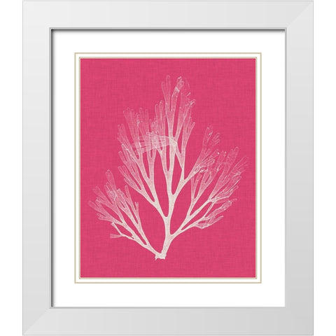 Seaweed Pop III White Modern Wood Framed Art Print with Double Matting by Vision Studio
