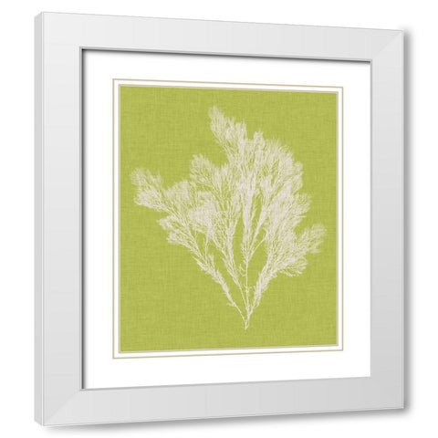 Seaweed Pop V White Modern Wood Framed Art Print with Double Matting by Vision Studio