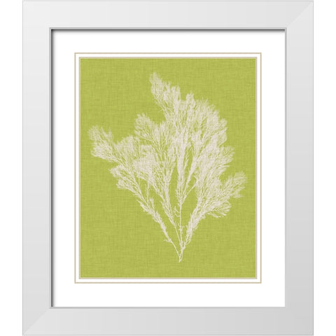 Seaweed Pop V White Modern Wood Framed Art Print with Double Matting by Vision Studio