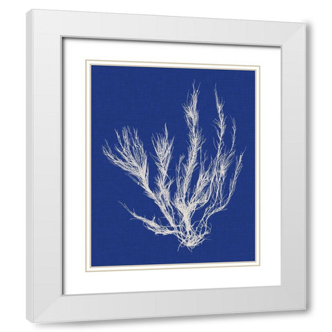 Seaweed Pop VI White Modern Wood Framed Art Print with Double Matting by Vision Studio
