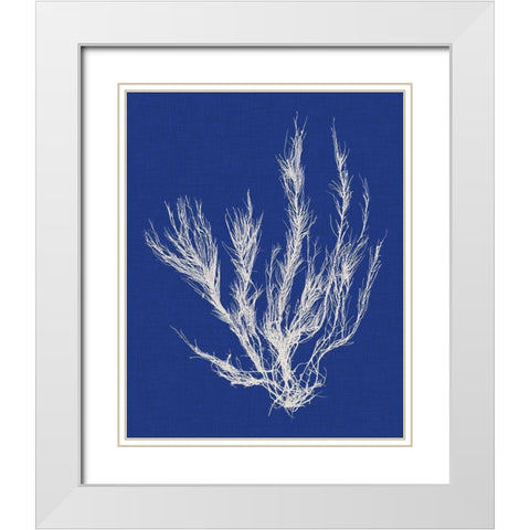 Seaweed Pop VI White Modern Wood Framed Art Print with Double Matting by Vision Studio