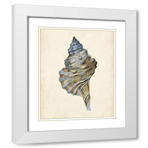 3-UP Watercolor Seashell III White Modern Wood Framed Art Print with Double Matting by Wang, Melissa