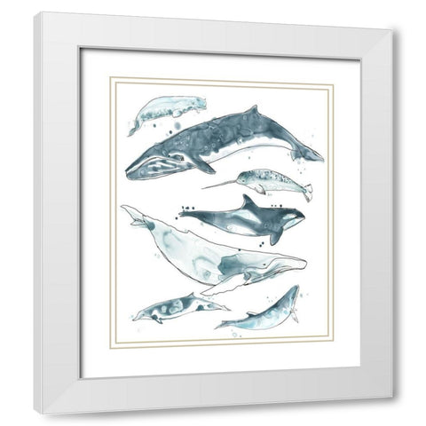 3-UP Cetacea I White Modern Wood Framed Art Print with Double Matting by Vess, June Erica