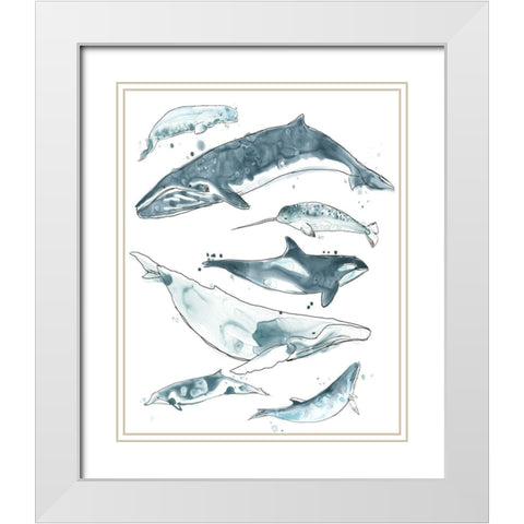 3-UP Cetacea I White Modern Wood Framed Art Print with Double Matting by Vess, June Erica
