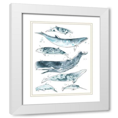3-UP Cetacea II White Modern Wood Framed Art Print with Double Matting by Vess, June Erica