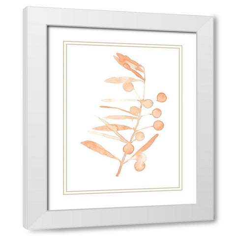 Blush Olive Branch III White Modern Wood Framed Art Print with Double Matting by Scarvey, Emma