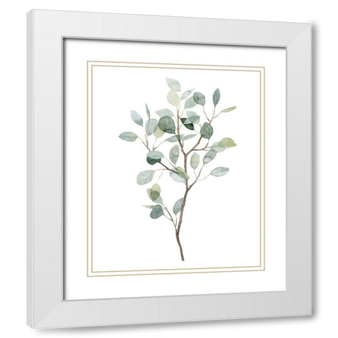 Seaglass Eucalyptus I White Modern Wood Framed Art Print with Double Matting by Popp, Grace