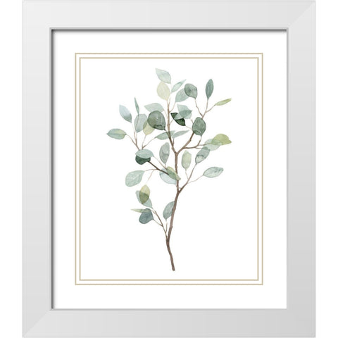 Seaglass Eucalyptus I White Modern Wood Framed Art Print with Double Matting by Popp, Grace