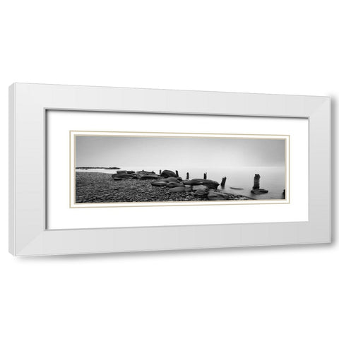 Black and White Water Panel I White Modern Wood Framed Art Print with Double Matting by McLoughlin, James