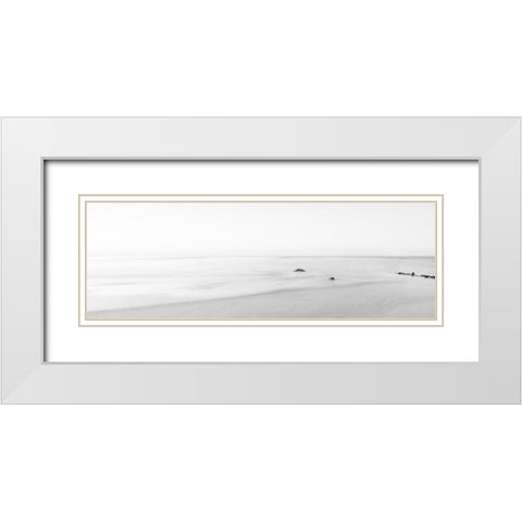 Black and White Water Panel II White Modern Wood Framed Art Print with Double Matting by McLoughlin, James