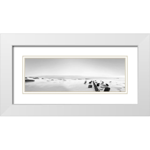 Black and White Water Panel III White Modern Wood Framed Art Print with Double Matting by McLoughlin, James