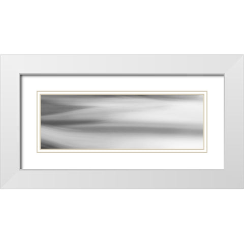 Black and White Water Panel VII White Modern Wood Framed Art Print with Double Matting by McLoughlin, James
