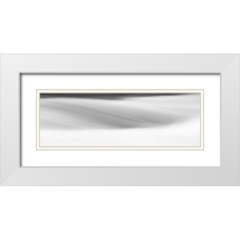 Black and White Water Panel IX White Modern Wood Framed Art Print with Double Matting by McLoughlin, James