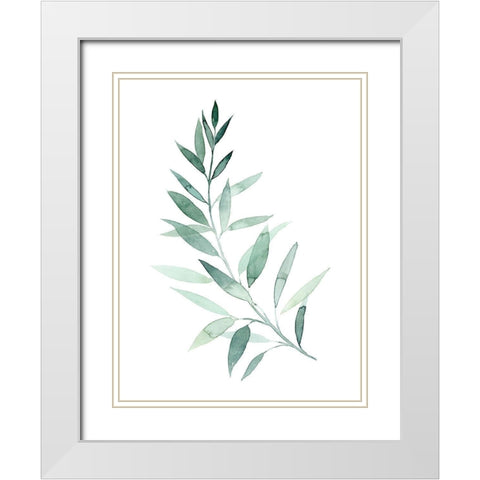 Sea Glass Sprig I White Modern Wood Framed Art Print with Double Matting by Popp, Grace