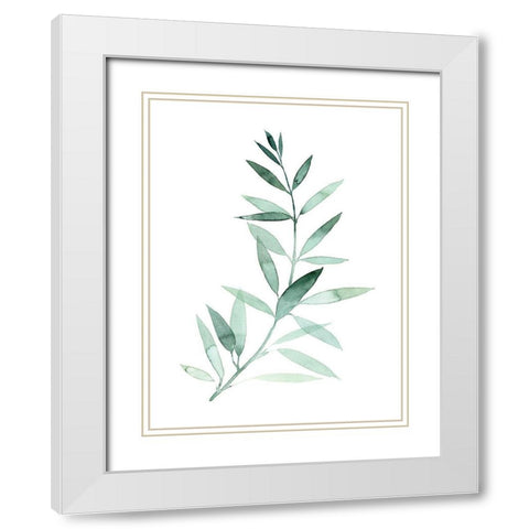 Sea Glass Sprig II White Modern Wood Framed Art Print with Double Matting by Popp, Grace