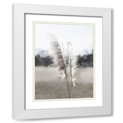 Ethereal Pampas I White Modern Wood Framed Art Print with Double Matting by Johnson, Jason