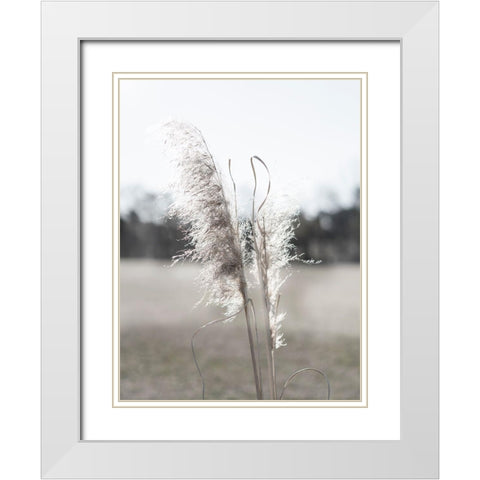 Ethereal Pampas I White Modern Wood Framed Art Print with Double Matting by Johnson, Jason