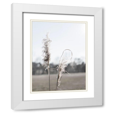 Ethereal Pampas II White Modern Wood Framed Art Print with Double Matting by Johnson, Jason