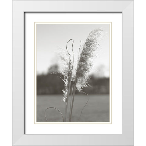 Ethereal Pampas III White Modern Wood Framed Art Print with Double Matting by Johnson, Jason