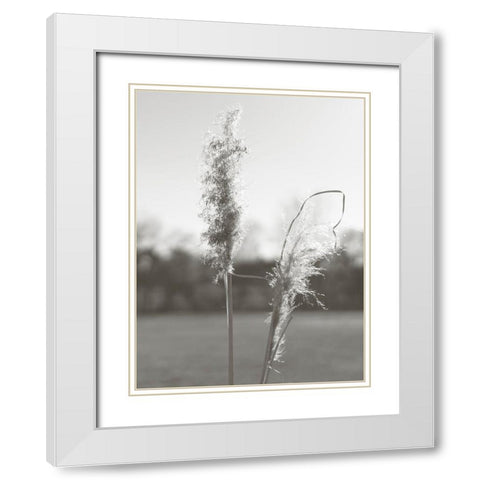 Ethereal Pampas IV White Modern Wood Framed Art Print with Double Matting by Johnson, Jason