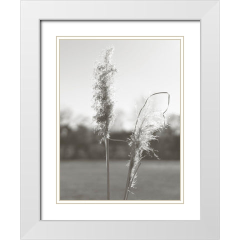 Ethereal Pampas IV White Modern Wood Framed Art Print with Double Matting by Johnson, Jason