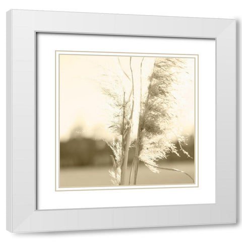 Ethereal Pampas V White Modern Wood Framed Art Print with Double Matting by Johnson, Jason