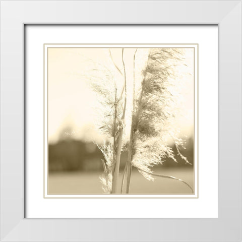 Ethereal Pampas V White Modern Wood Framed Art Print with Double Matting by Johnson, Jason