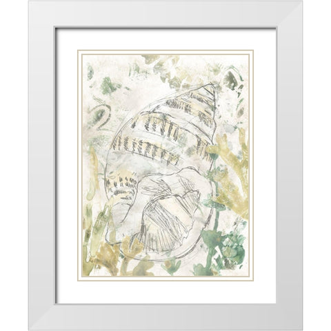 Verdant Shell Fresco III White Modern Wood Framed Art Print with Double Matting by Vess, June Erica